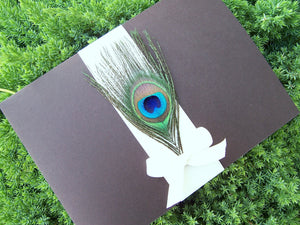 The Peacock Bow Pocketfold Invitation Set